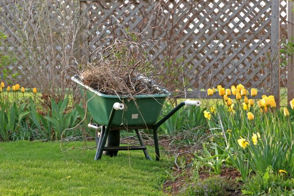 Flower Bed Cleanup Service in Leland