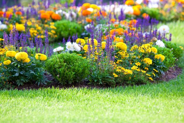 Flower Bed Maintenance in Leland