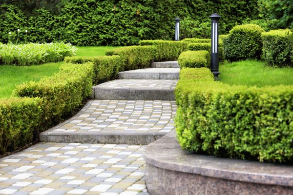 Backyard Remodeling in Leland