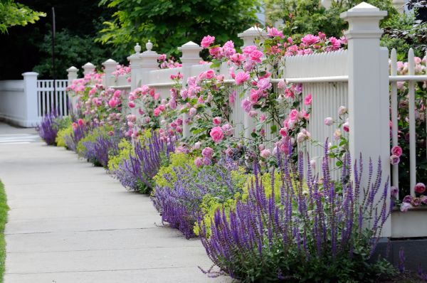 Garden Handyman Service in Leland