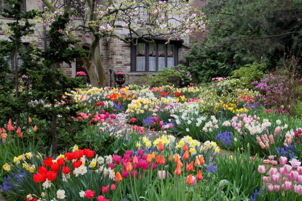 Garden Maintenance Service in Leland