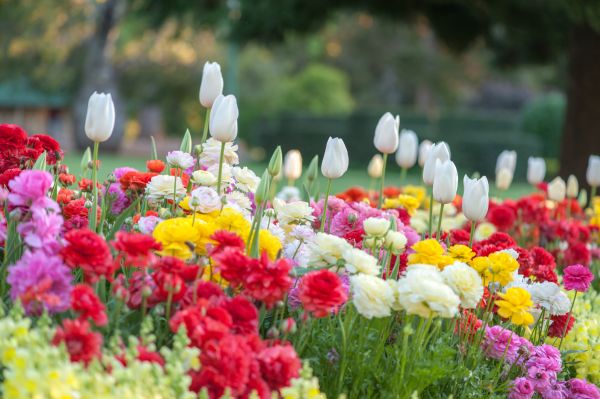 Gardening Service in Leland
