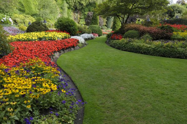 Landscaping Maintenance in Leland