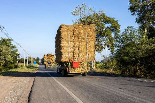 Pine Straw Delivery in Leland