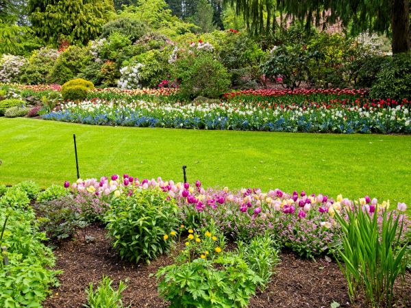 Residential Landscape Design in Leland