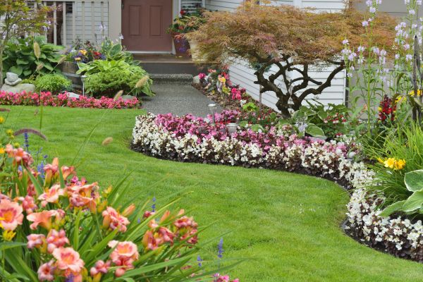Perennial Landscaping in Leland