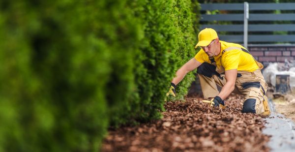 Cypress Mulch Installation in Leland