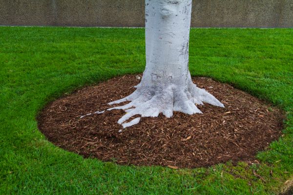 Brown Mulch Installation in Leland