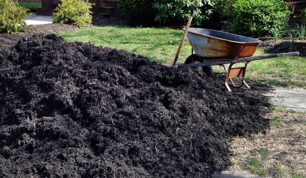 Black Mulch Installation in Leland