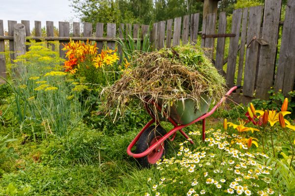 Garden Cleanup Service in Leland