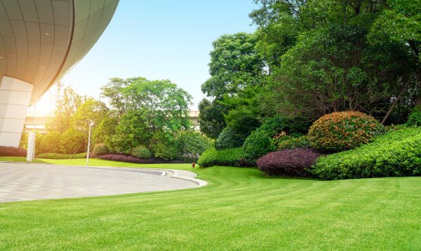 Business Landscape Design in Leland
