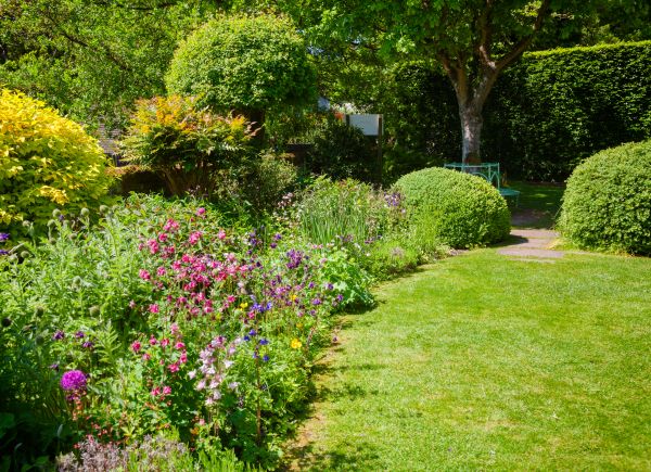 Yard Landscaping Service in Leland