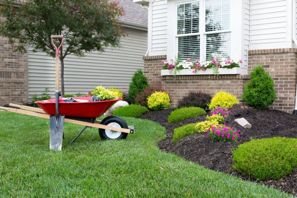 Tree And Shrub Planting in Leland