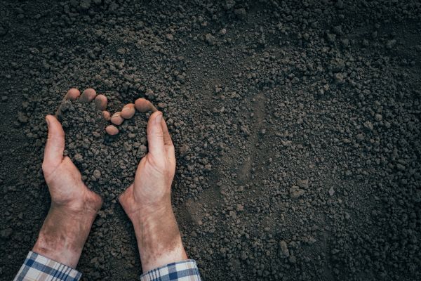 Soil Installation in Leland