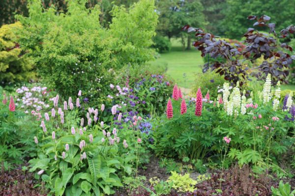 Flower Bed Planting in Leland