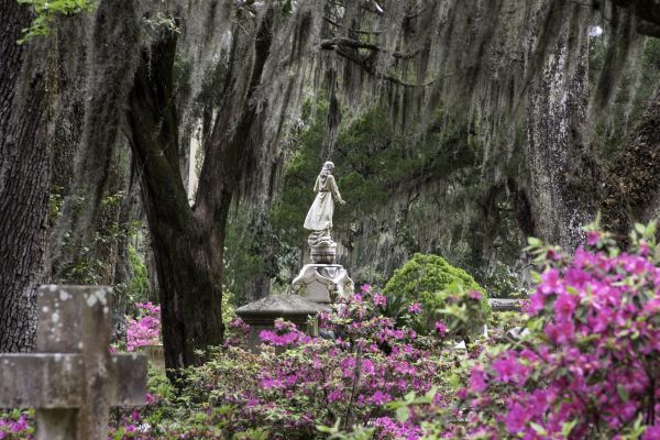 Cemetery Landscaping in Leland