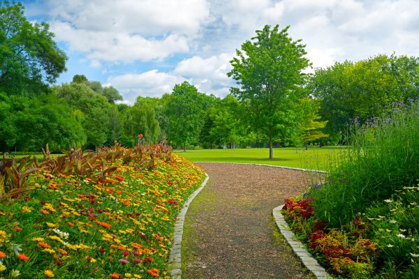 Park Landscaping in Leland