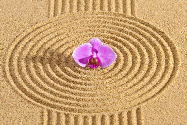 Sand Garden Landscaping in Leland