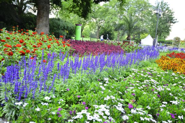 Perennials Planting in Leland
