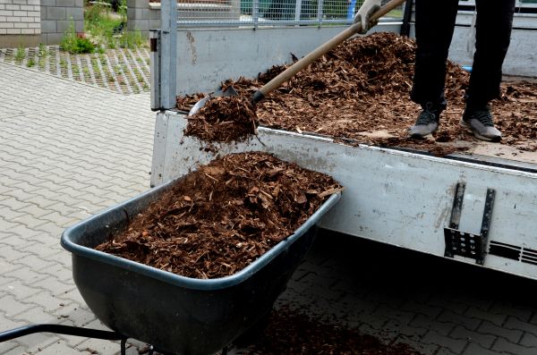 Cypress Mulch Delivery in Leland