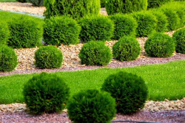 Bush Installation in Leland