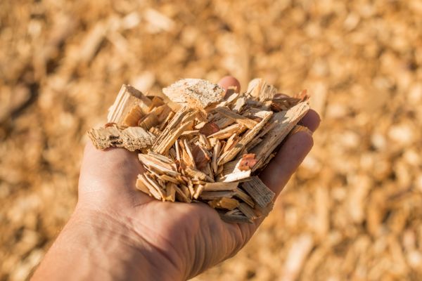 Wood Chips Spreading in Leland
