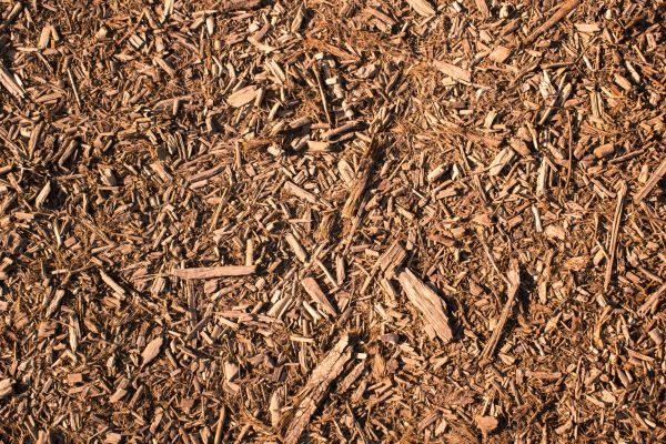 Wood Chips Removal in Leland