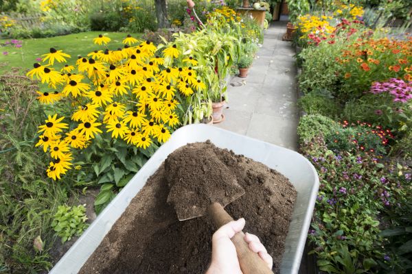 Topsoil Replacement in Leland