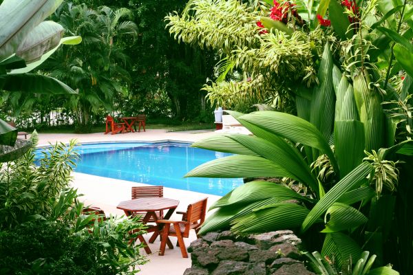 Pool Area Landscaping in Leland