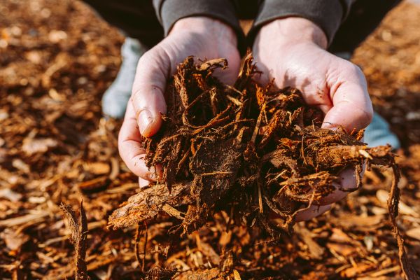 Bark Chips Delivery in Leland