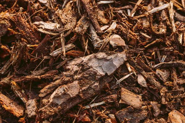 Bark Mulch Delivery in Leland