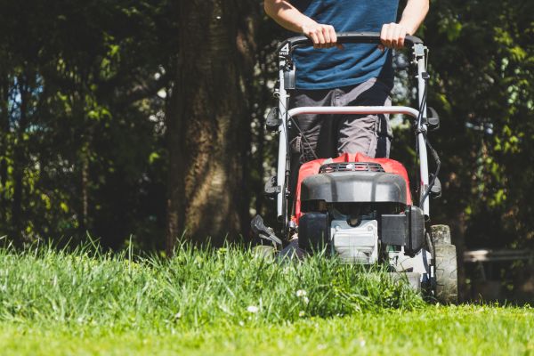 Garden Trimming Service in Leland