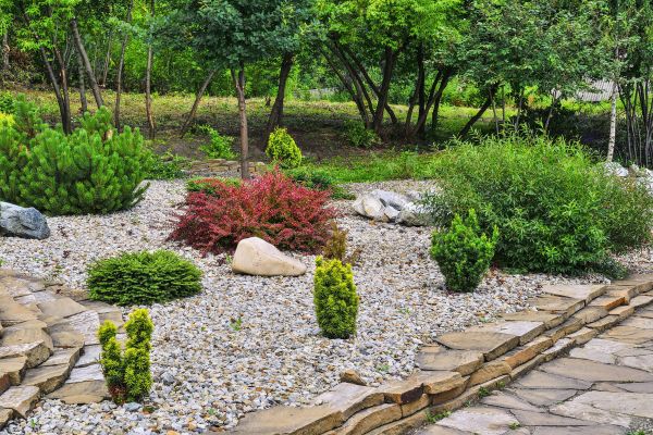 Hardscape Landscaping in Leland