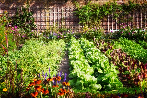 Garden Planting Service in Leland