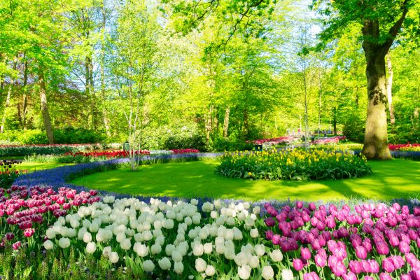 Flower Landscaping in Leland