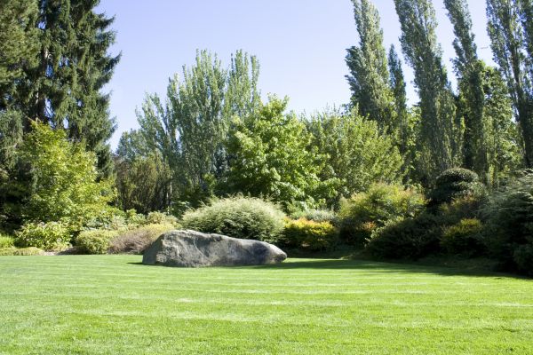 Yard Enlargement in Leland
