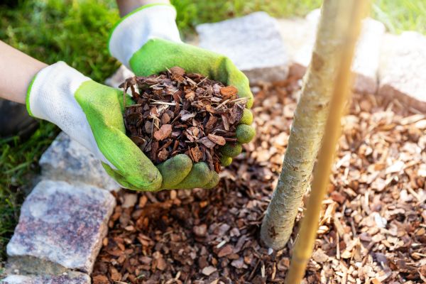 Tree Bark Delivery in Leland