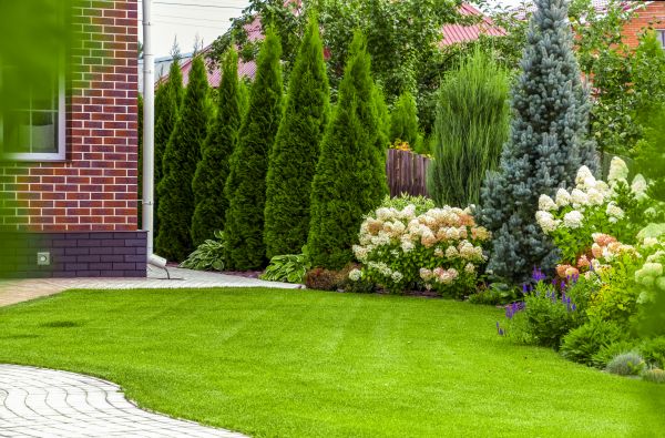 Spring Landscaping in Leland
