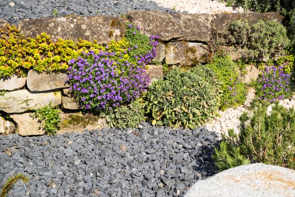 Landscaping Rocks Installation in Leland