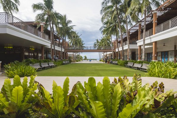 Commercial Lawn Renovation in Leland