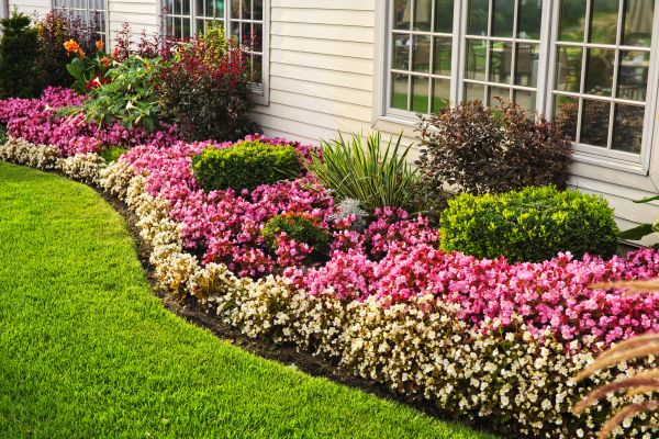 Garden Landscape Design in Leland