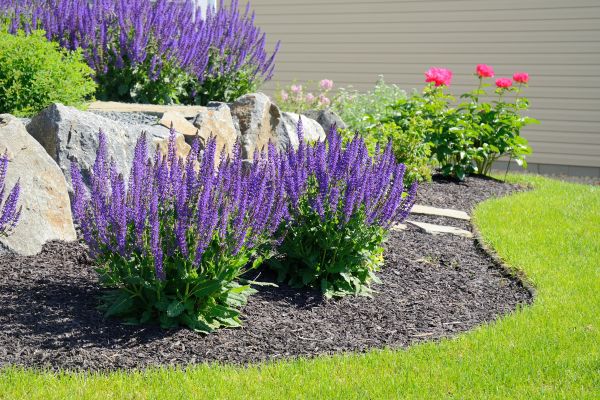 Landscape Planting Service in Leland
