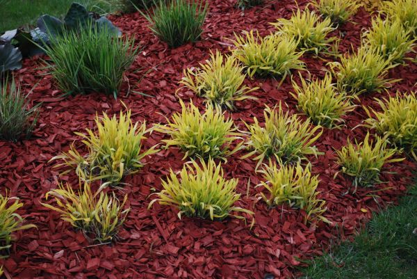 Red Mulch Installation in Leland
