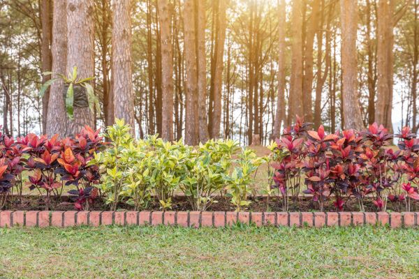 Small Garden Landscaping in Leland