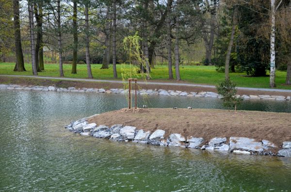 Pond Landscaping Service in Leland