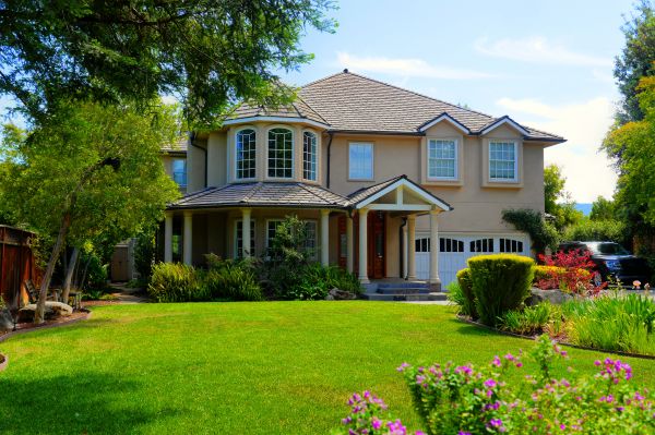 Large Yard Landscaping in Leland