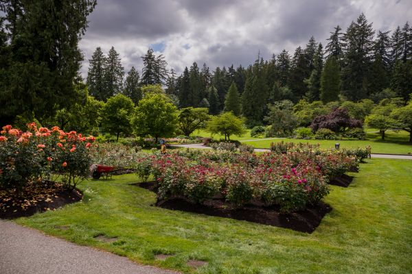 Flower Garden Landscaping in Leland