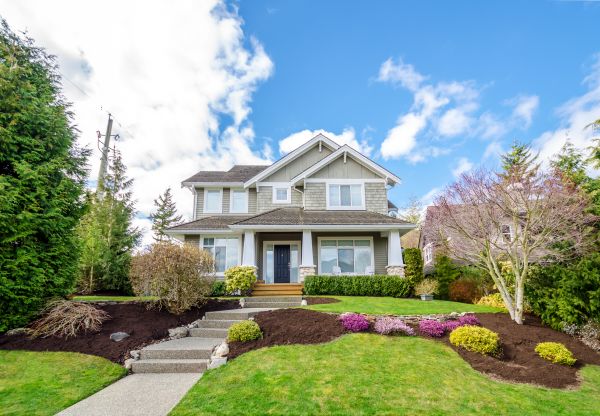 Landscaping Replacement in Leland