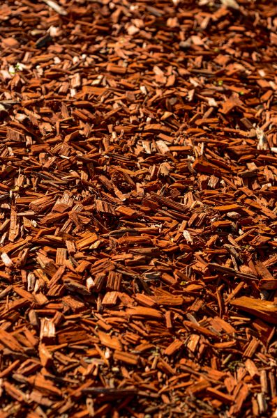 Cedar Mulch Spreading in Leland