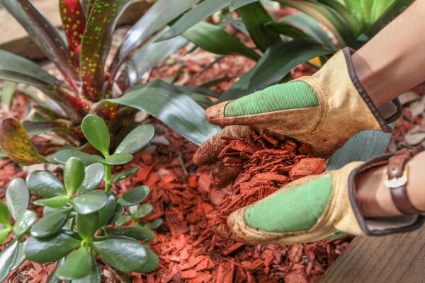 Residential Mulching in Leland